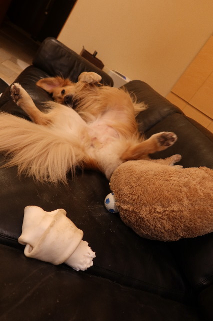 ファイル 7657-4.jpg