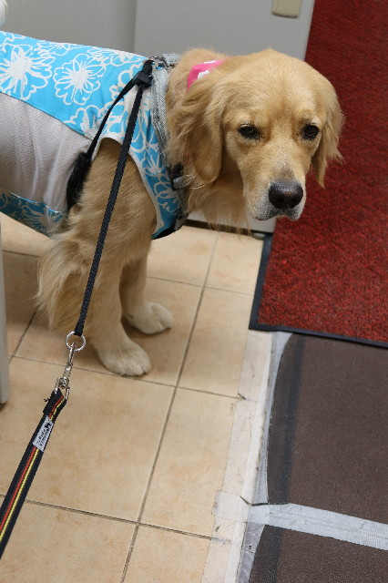 ファイル 7658-1.jpg