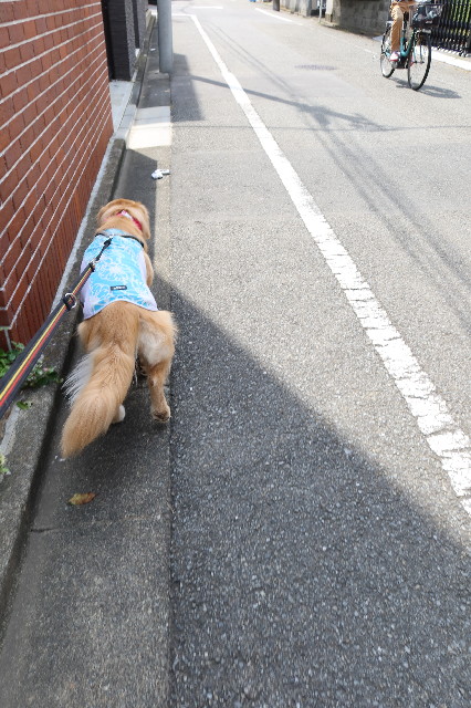 ファイル 7658-5.jpg