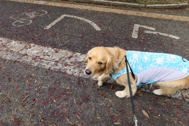 ファイル 7659-4.jpg