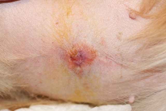 ファイル 766-1.jpg