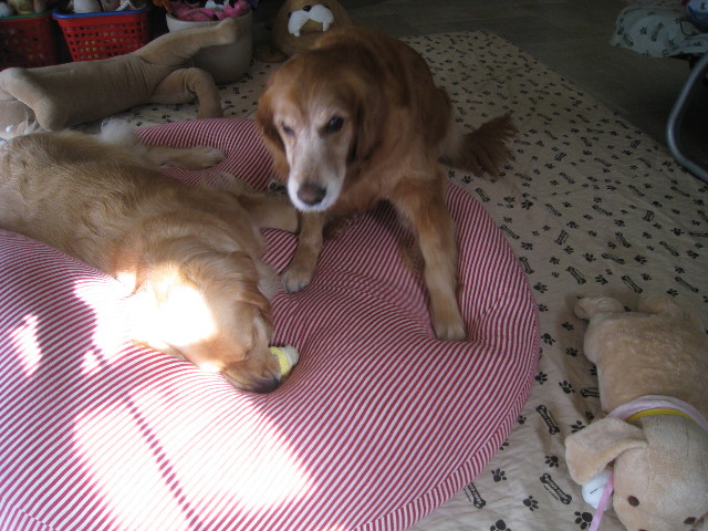 ファイル 766-3.jpg