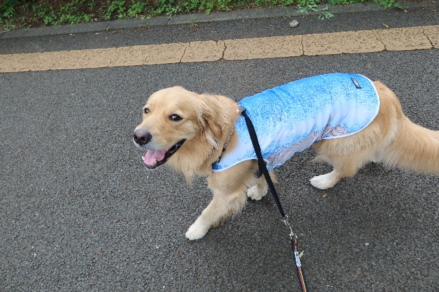 ファイル 7660-2.jpg