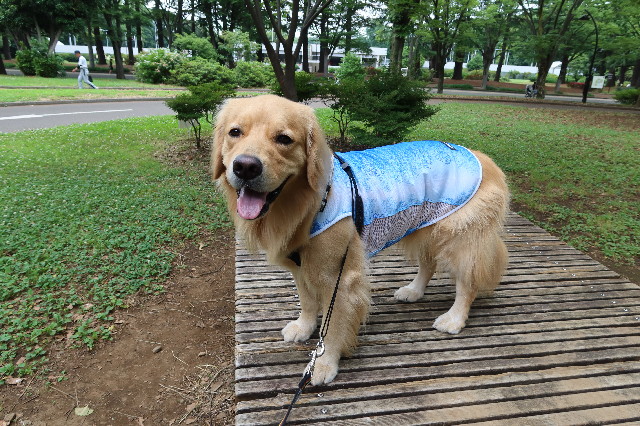 ファイル 7660-3.jpg