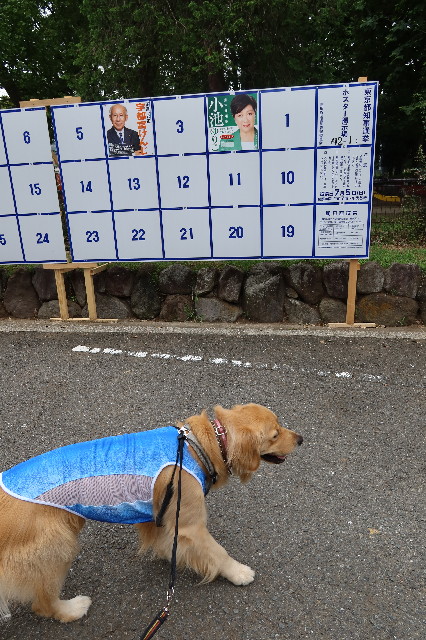 ファイル 7660-4.jpg