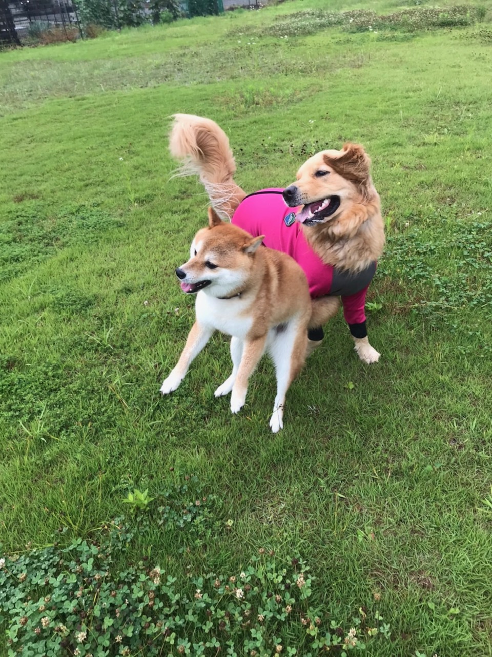 ファイル 7661-2.jpg