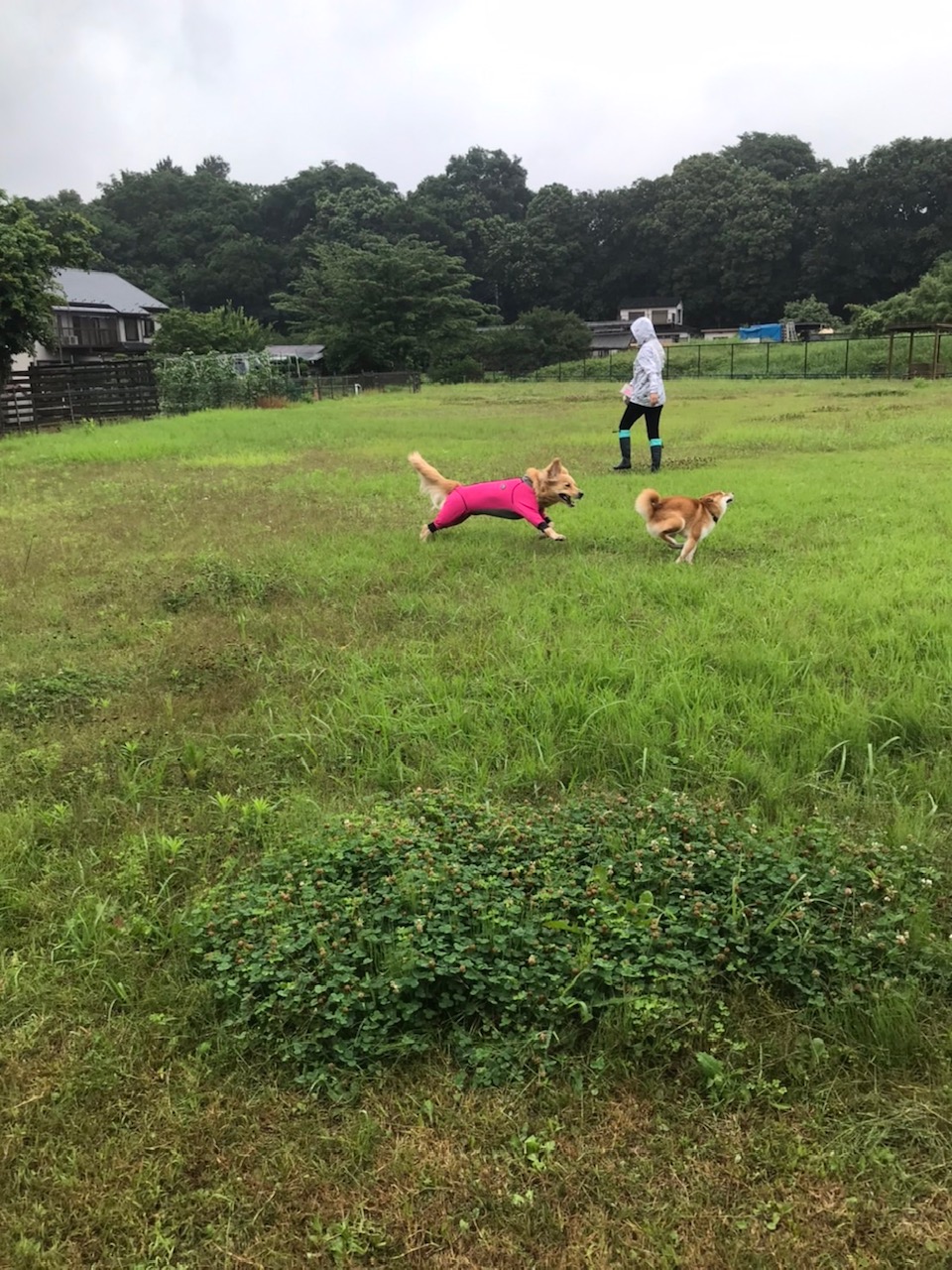 ファイル 7661-3.jpg