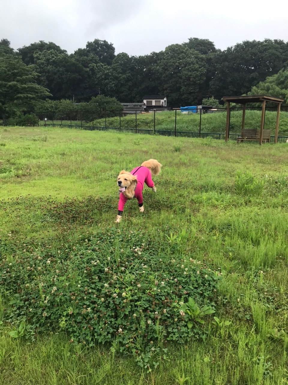 ファイル 7661-4.jpg