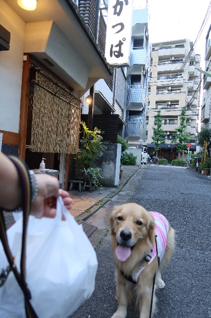 ファイル 7662-1.jpg