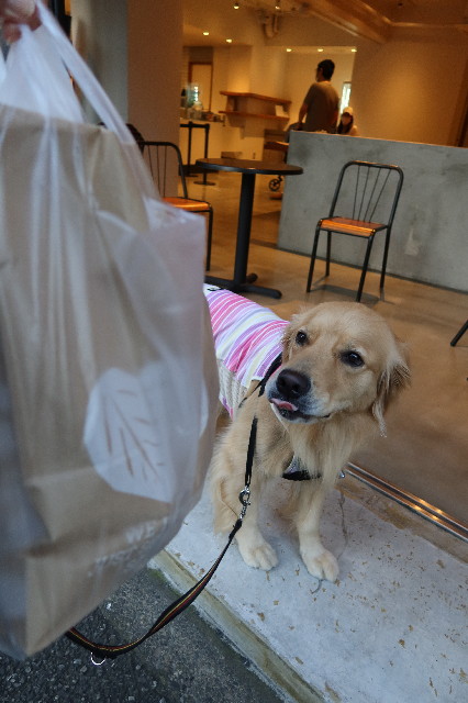 ファイル 7662-2.jpg