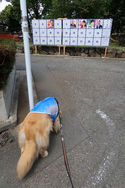 ファイル 7663-1.jpg