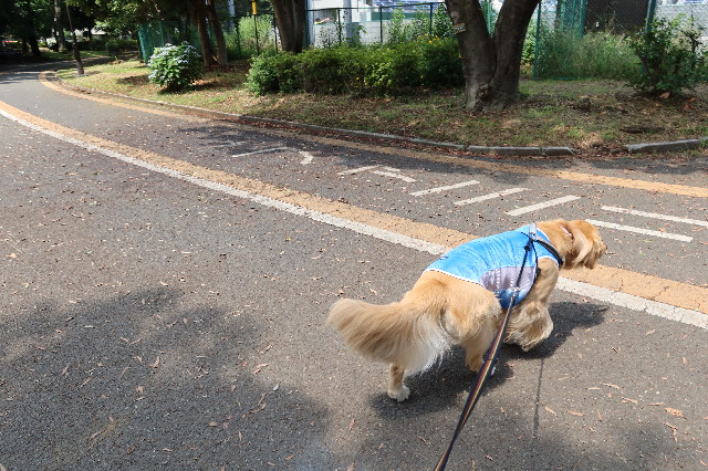 ファイル 7663-3.jpg