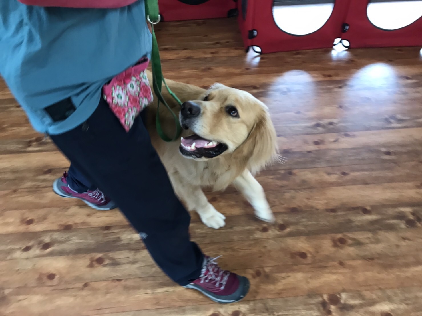 ファイル 7663-5.jpg