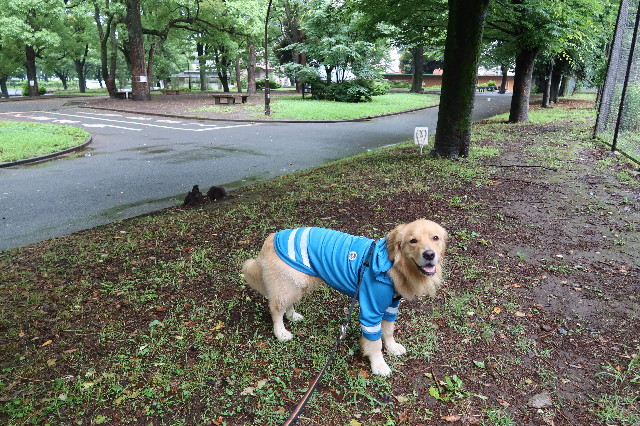 ファイル 7665-4.jpg