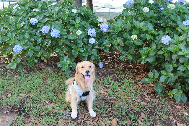 ファイル 7666-3.jpg