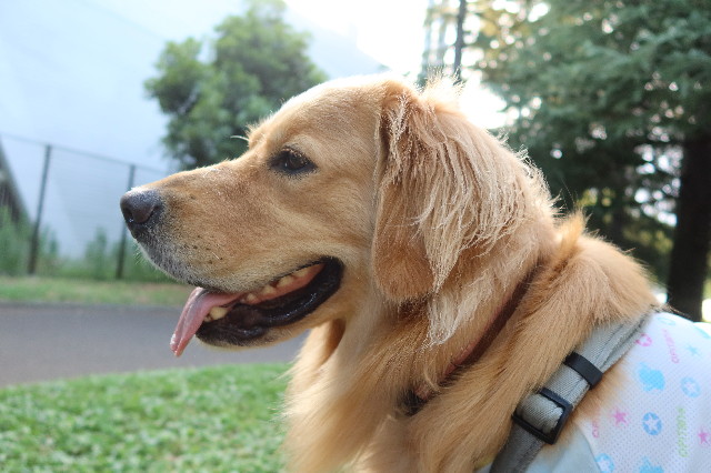 ファイル 7666-4.jpg