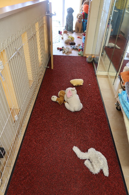 ファイル 7667-1.jpg