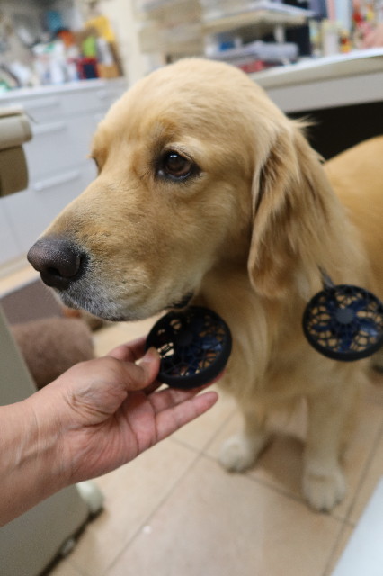 ファイル 7667-5.jpg