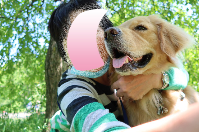 ファイル 7668-5.jpg