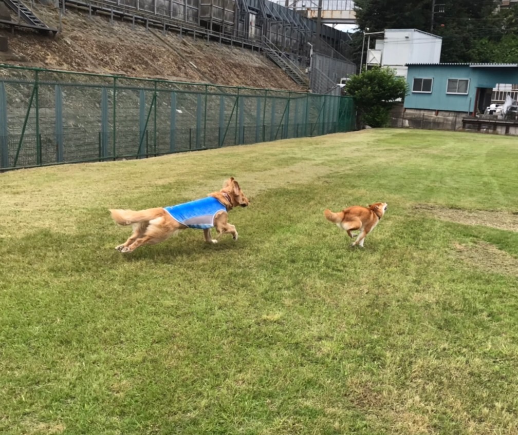 ファイル 7669-1.jpg