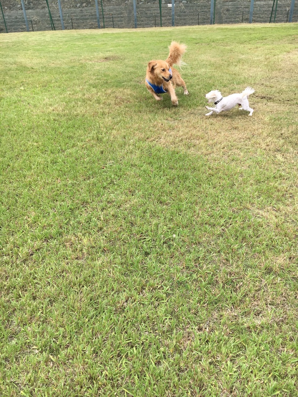 ファイル 7669-2.jpg