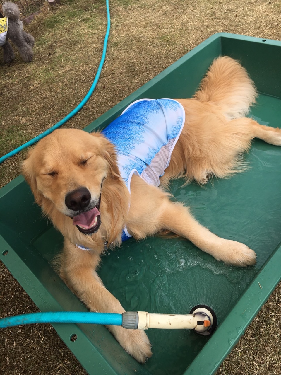 ファイル 7669-3.jpg