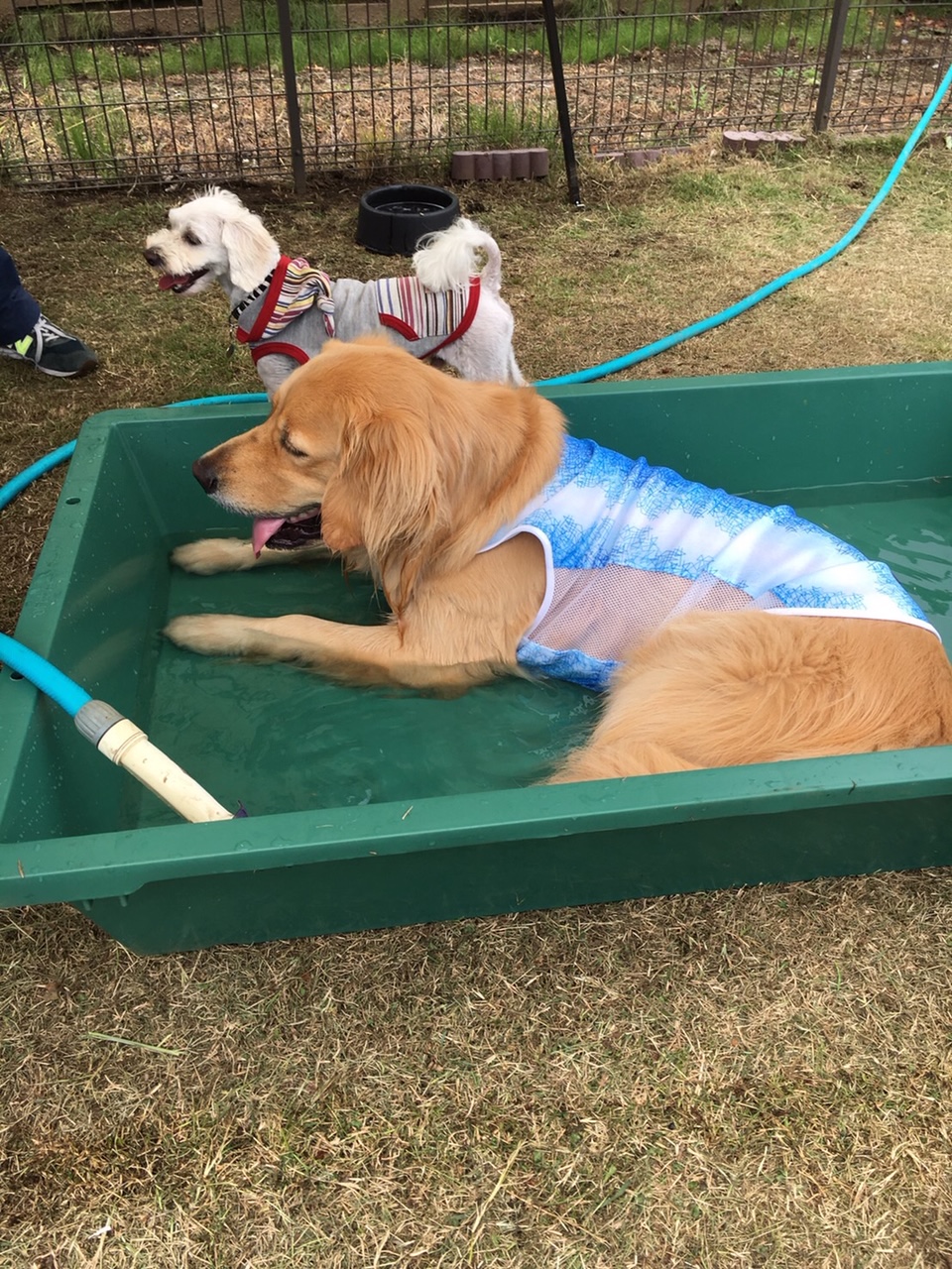 ファイル 7669-5.jpg