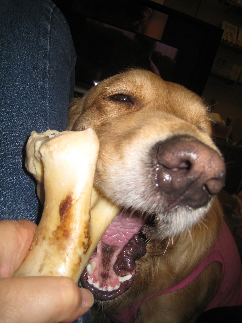 ファイル 767-2.jpg