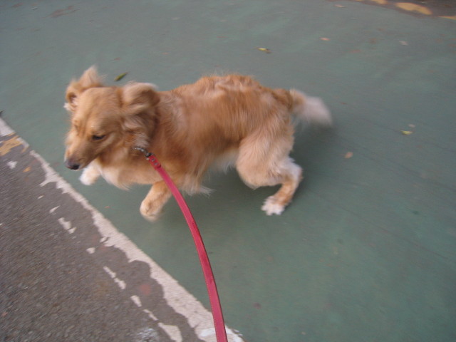 ファイル 767-5.jpg