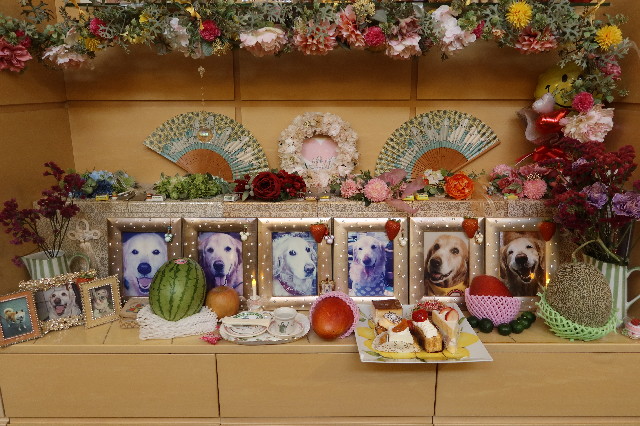 ファイル 7673-1.jpg