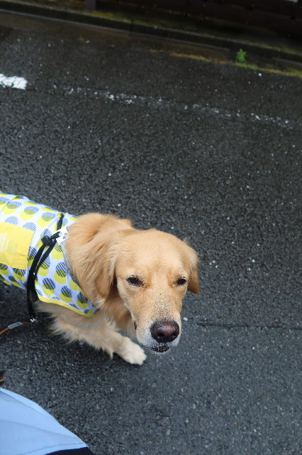 ファイル 7673-3.jpg