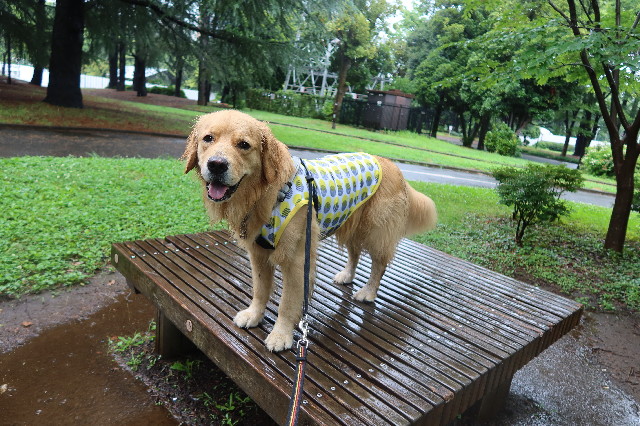 ファイル 7673-5.jpg