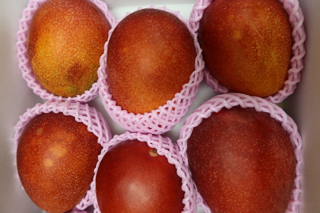 ファイル 7674-1.jpg