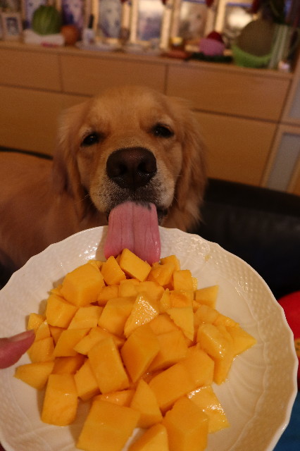 ファイル 7674-2.jpg