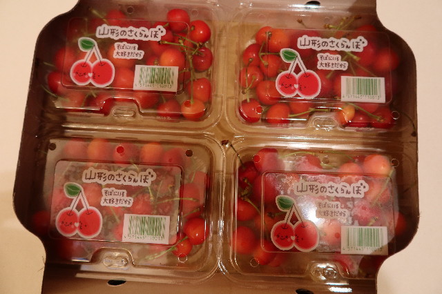 ファイル 7674-5.jpg