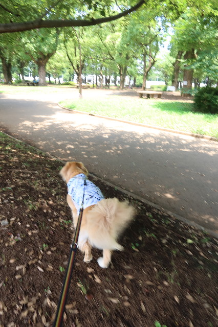 ファイル 7675-5.jpg