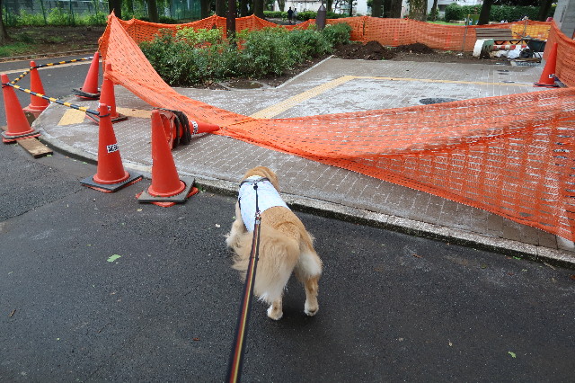 ファイル 7676-2.jpg