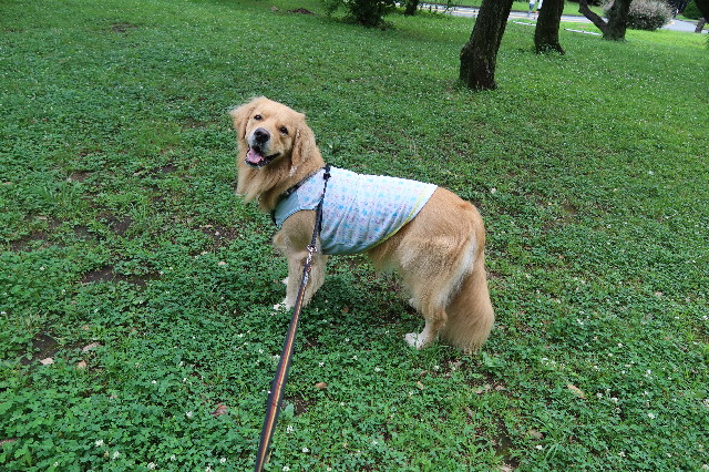 ファイル 7676-5.jpg