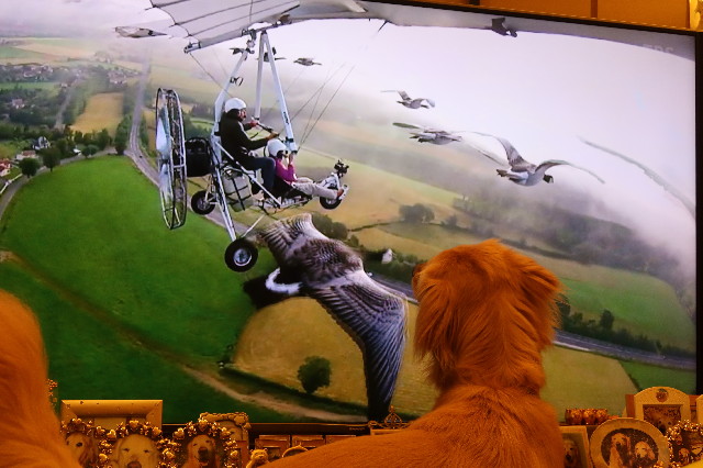 ファイル 7677-1.jpg