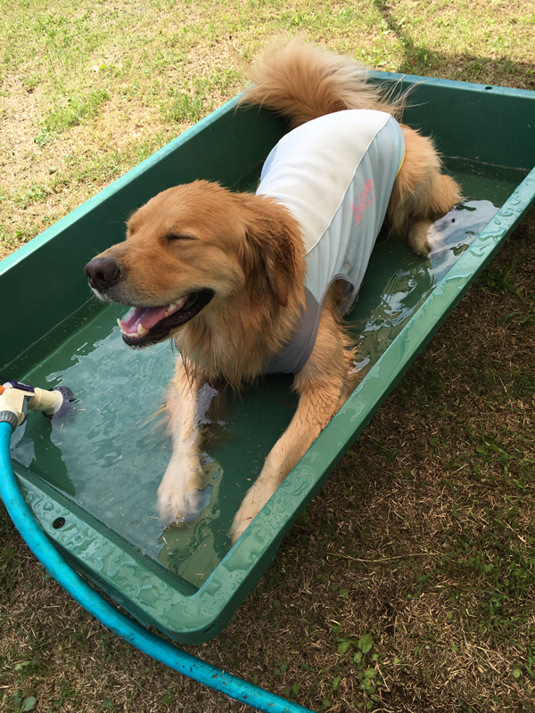 ファイル 7678-3.jpg