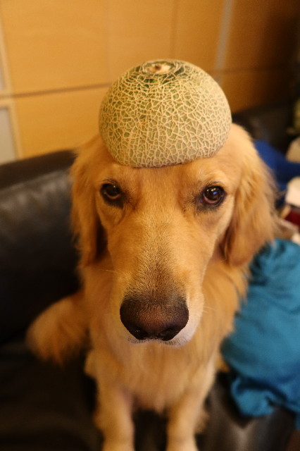 ファイル 7678-5.jpg