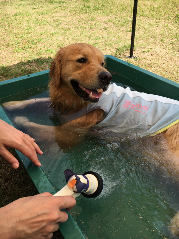 ファイル 7679-2.jpg