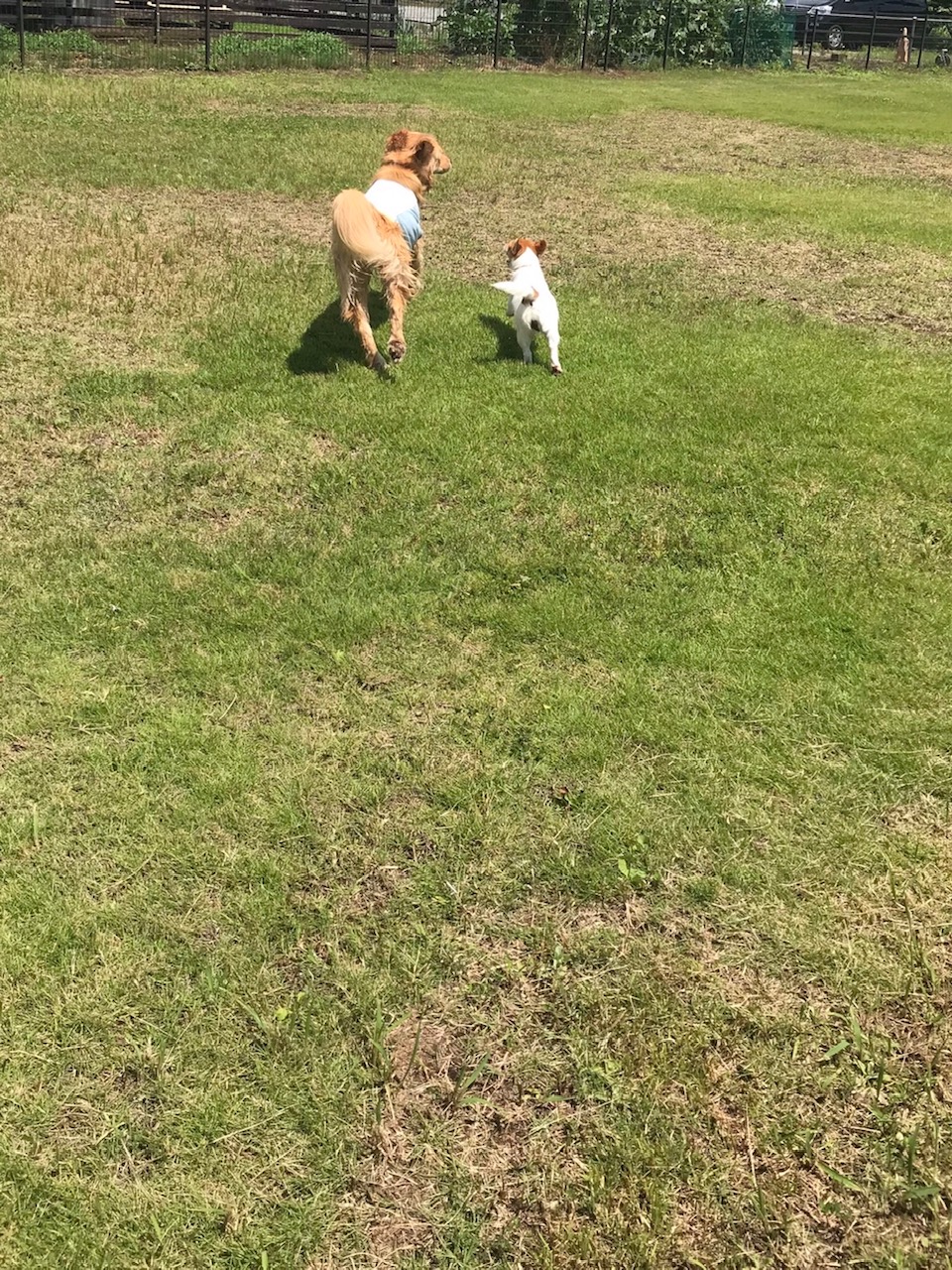 ファイル 7679-3.jpg