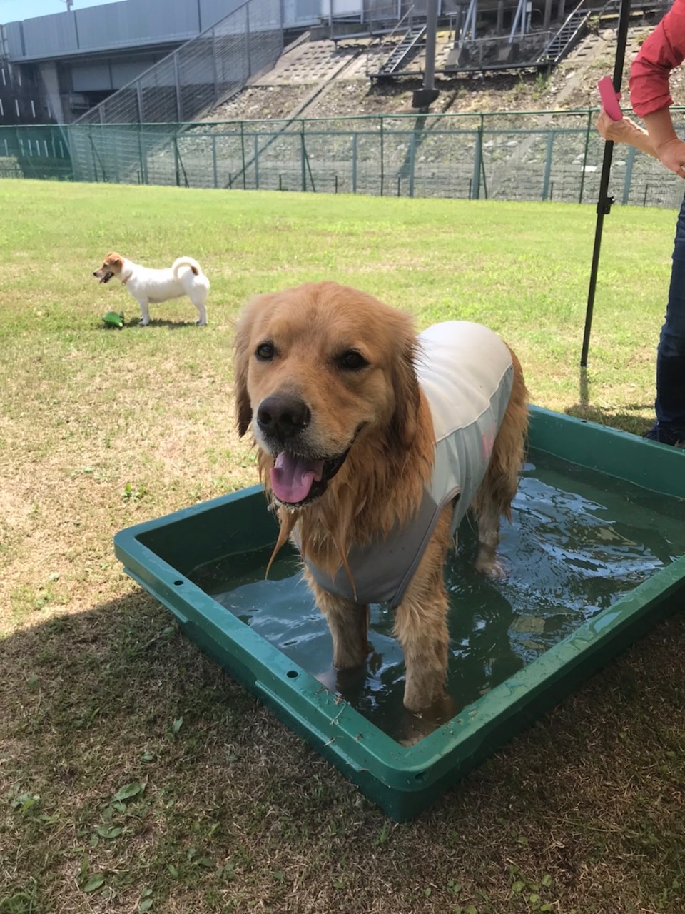 ファイル 7679-4.jpg