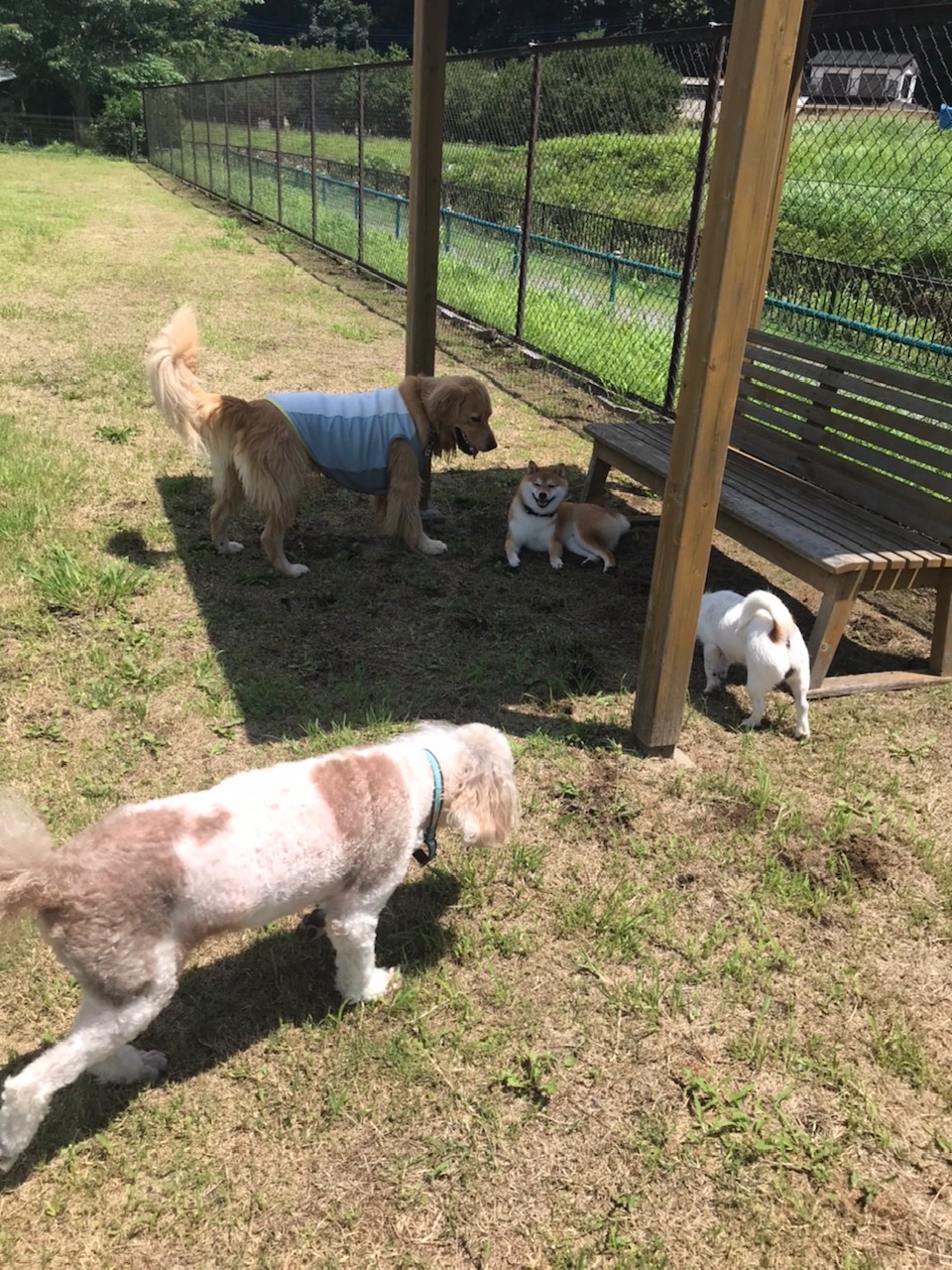 ファイル 7679-5.jpg