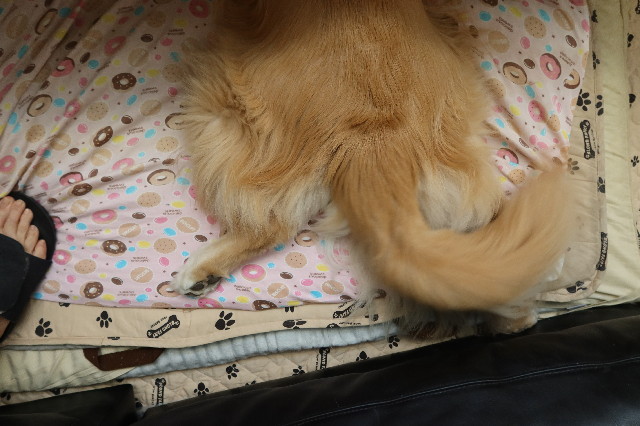 ファイル 7682-3.jpg