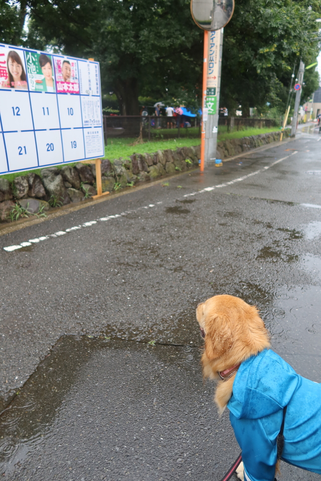 ファイル 7683-1.jpg