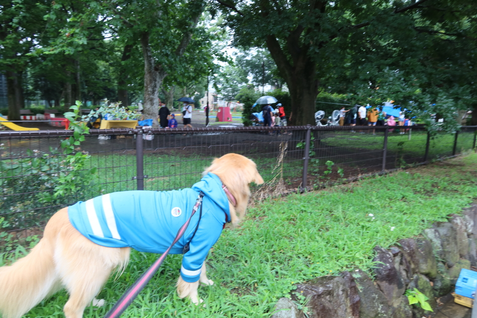 ファイル 7683-2.jpg