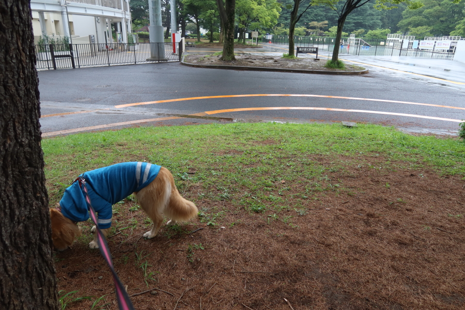 ファイル 7683-4.jpg