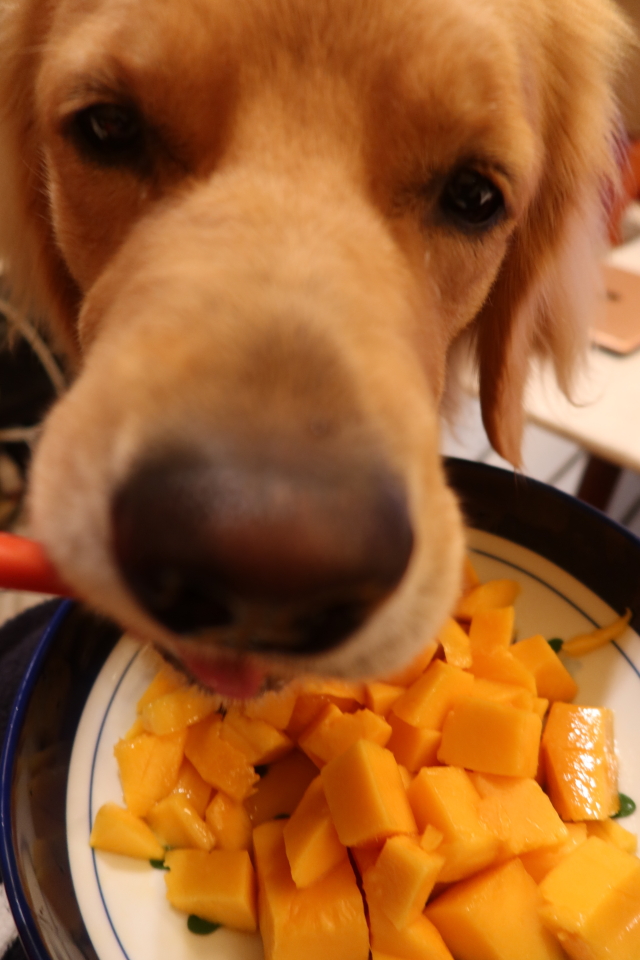 ファイル 7683-5.jpg